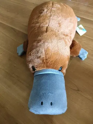 오리너구리 봉제 인형