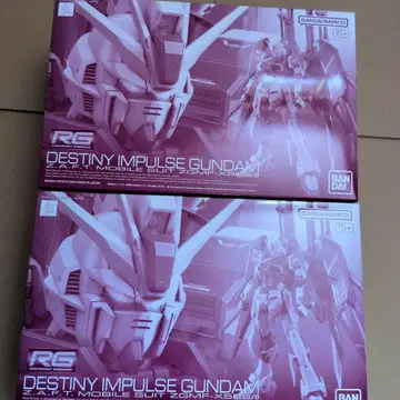 RG 1/144 데스티니 임펄스 2개 세트