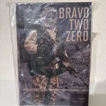 DAMTOYS Gulf War 1991 Bravo two sero 1/6