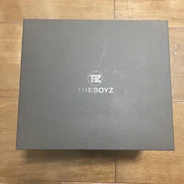 THEBOYZ 응원봉