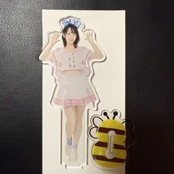 AKB48 나리타 히나 의상전 아크릴 스탠드 다이마루 아크릴 스탠드