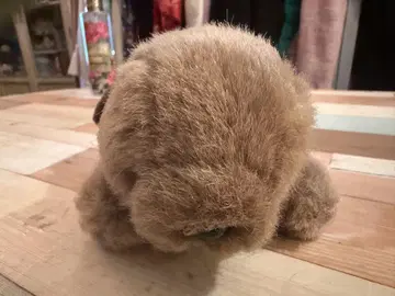 강아지 봉제 인형 해바라기와 강아지 7일간