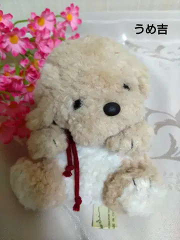 우메키치 봉제 인형 오리엔탈 토이 베이지