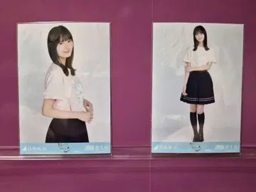엔도 사쿠라 T셔츠 히키 츄 카가와 노기자카46