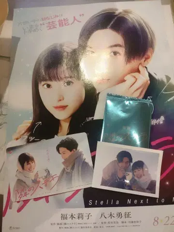 옆집의 스텔라 리플렛 무비치케 기사용 입장 선물