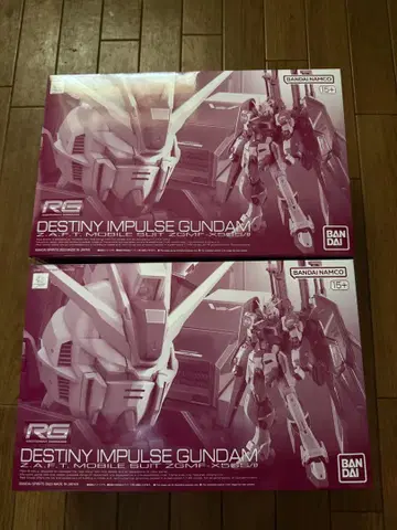 새상품 RG 1/144 데스티니 임펄스 2개 세트