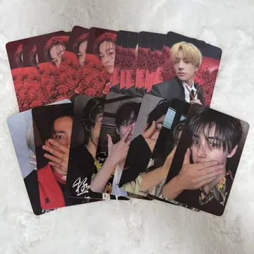 ENHYPEN SHOPEE kpopmerch 47매