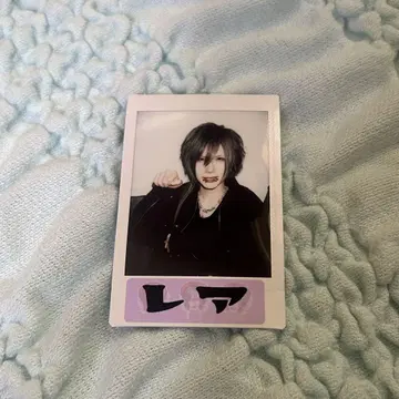 Royz 쿠이나 님 폴라로이드