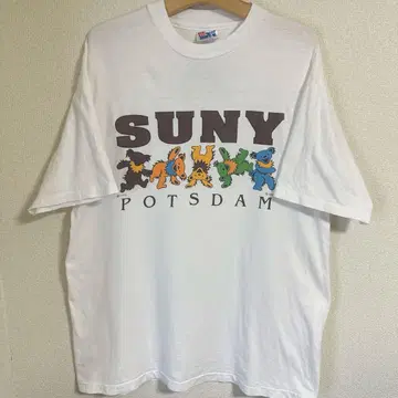 90년대 Grateful Dead 뉴욕 주립 대학 칼리지 T USA 제