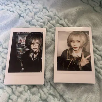 Royz 쿠이나 님 폴라로이드