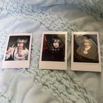 Royz 쿠이나 씨 체키