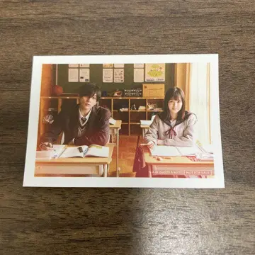 옆집 스텔라 입장객 선물 필름 사진풍 스티커