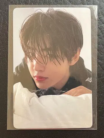 [익명 배송] ENHYPEN daydream 성훈 yizhiyu 1.0