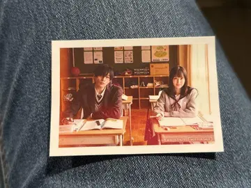 옆집 스텔라 시크릿