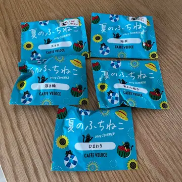 카페 베로체 여름 후치네코 2024 SUMMER 컴플리트