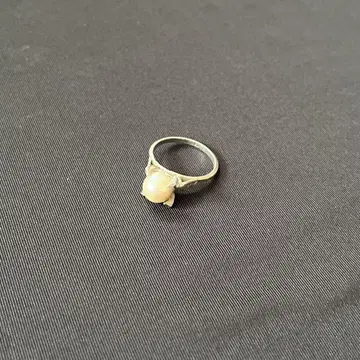 반지 반지