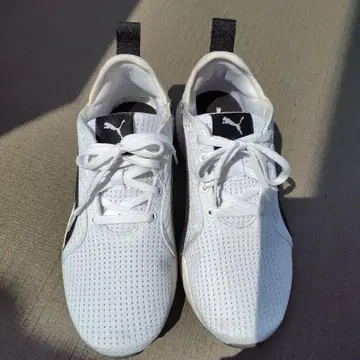 PUMA SOFT FOAM 스니커즈