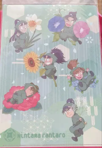 닌타마 란타로 클리어 파일 꽃
