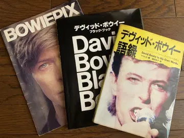 데이비드 보위 어록 David Bowie Black Book 외