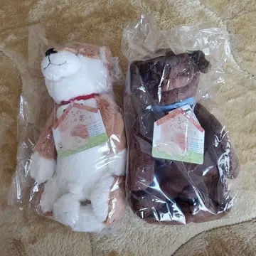 2개 우리 하루 군입니다 시나다 봉제 인형