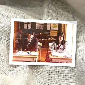 옆집 스텔라 야기 유세이 입장 혜택 스티커 시크릿