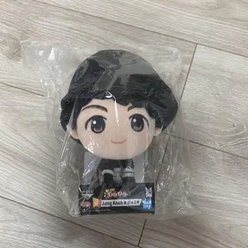 미사용 미개봉 새상품 TinyTAN Jung Kook 봉제 인형