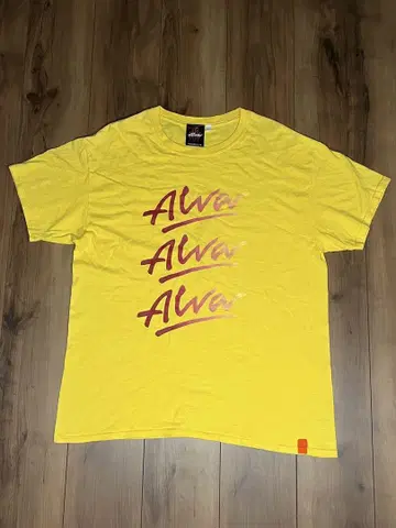 ALVA SKATE 티셔츠