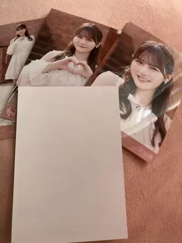 타카마츠 히토미 초특급 도주중 브로마이드 컴프