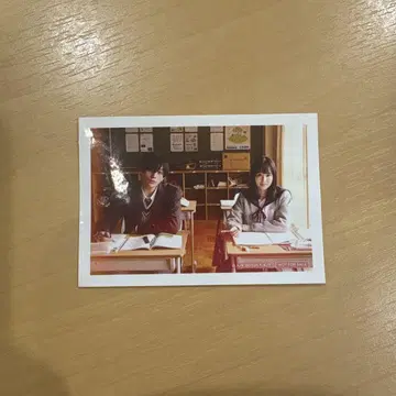 옆집 스텔라 입장자 특전 시크릿