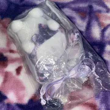 Rady 마이멜로디 마스코트 키링