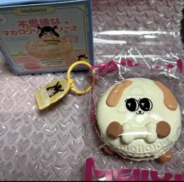 Mellojoy mellojoy 멜로조이 스퀴즈 마카롱 강아지