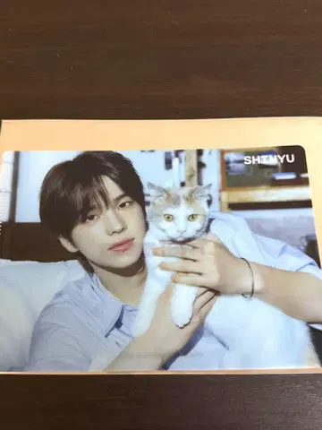 TWS 시뉴 JOYSOUND 조이 사운드 미니 클리어 파일 콜라보 혜택