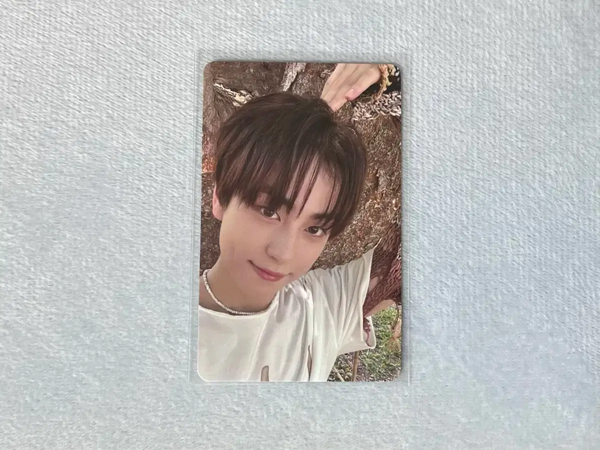 &team Setu-non Tokyo Concert Taki LD poca wts