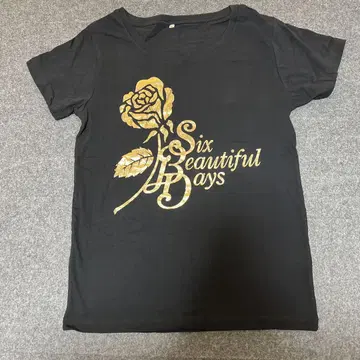 2PMSix Beautiful Days 티셔츠 XL