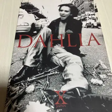 DAHLIA 밴드 스코어