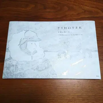 PIHOTEK 북극을 바람과 걷다