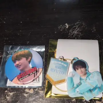 에비라이 아크링 키링 바토킨 캔뱃지 ICEx 야마모토 류진