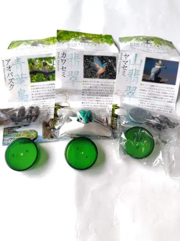 버드 테일즈2 물총새, 물총새(crested), 청호반새 3종 세트