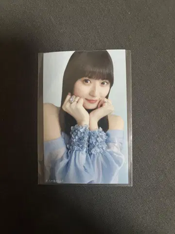 치트 데이 미니 사진 엔도 사쿠라