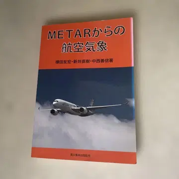 METAR로부터의 항공 기상