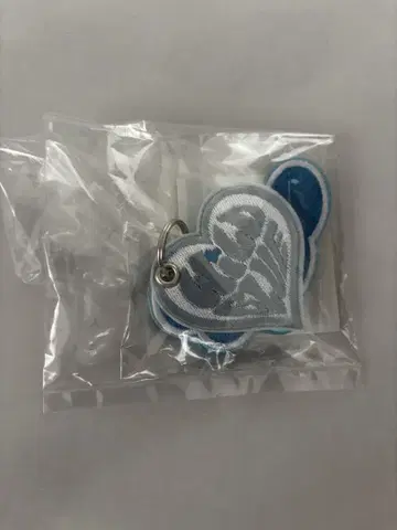 WILDBLUE 키링