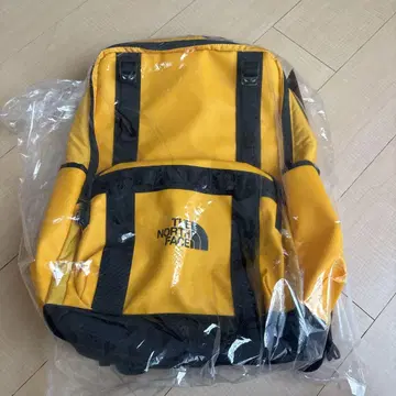 THE NORTH FACE NM82502R 백팩 21L