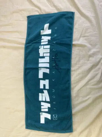 푸시풀 포트 타월