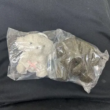 죠세마루 가챠가챠 오빤쓰 블랙