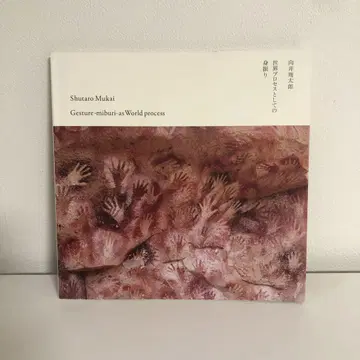 무카이 슈타로 세계 프로세스로서의 몸짓 전람회 도록