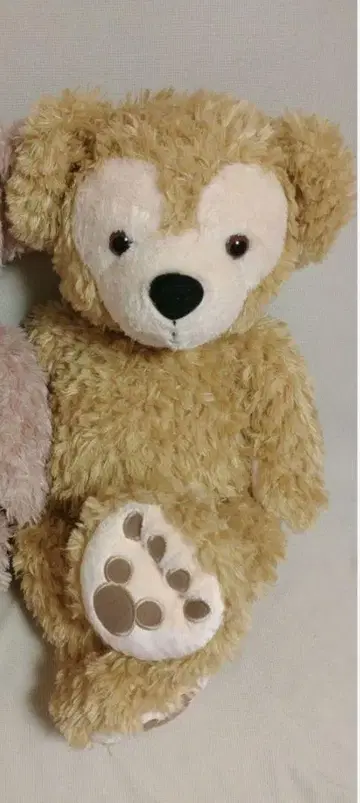 더피 봉제 인형 M사이즈 m사이즈 디즈니씨