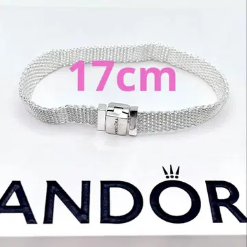 PANDORA 팔찌 38 Pandora Reflexions Mesh