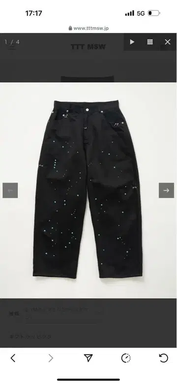 ttt_msw work wide pants