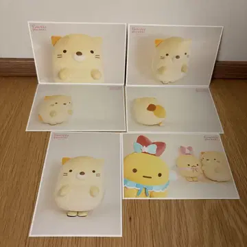 스미코구라시 브로마이드 고양이 스타다 택배 에비텐 에비후라이노싯포