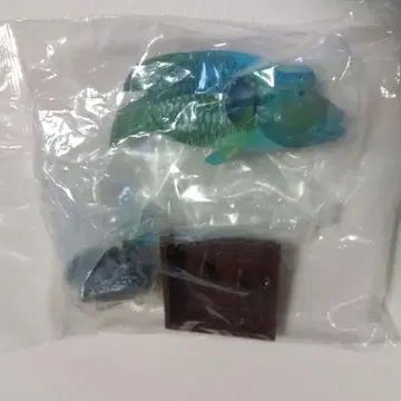 도바 수족관 네이처 테크니컬러 초판 안경모치노우오 미개봉